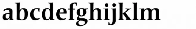 Frutiger Serif Pro Bold