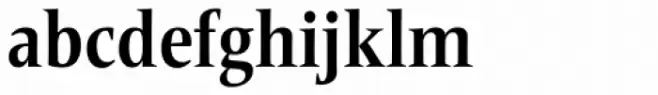 Frutiger Serif Pro Condensed Bold
