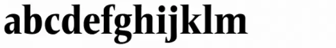 Frutiger Serif Pro Condensed Heavy