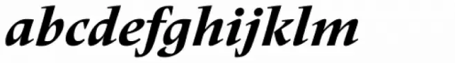 Frutiger Serif Pro Heavy Italic