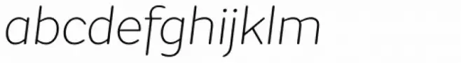FS Aldrin Thin Italic