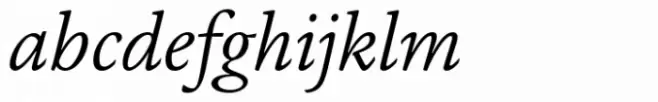 FS Brabo Paneuropean Light Italic