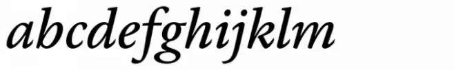 FS Brabo Paneuropean Medium Italic