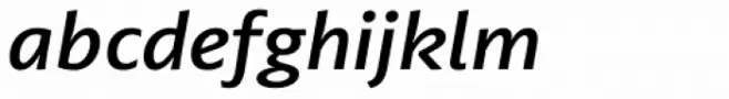 FS Irwin Medium Italic