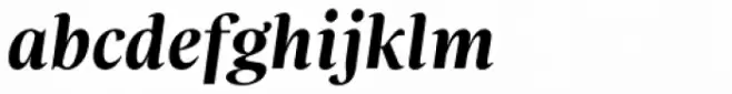 FS Neruda Bold Italic