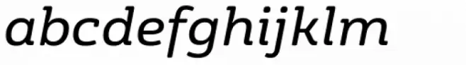 FS Rufus Italic