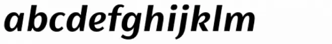 FS Siena Bold Italic