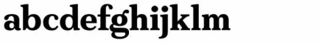 FS Split Serif Bold