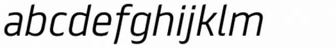 FS Truman Light Italic