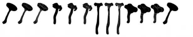 FT Funghi