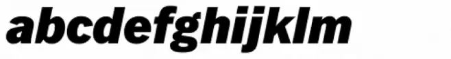 Fuller Sans DT Black Italic