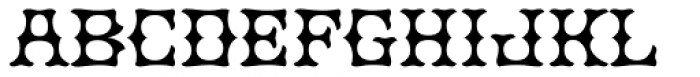 Fungis