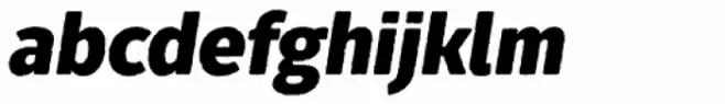 Fuse V.2 Printed Alt Black Italic