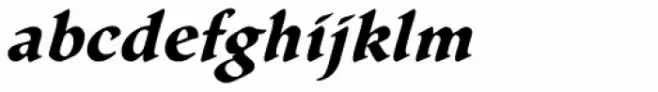 Gallegos Pro Bold Italic