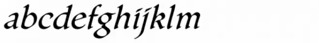 Gallegos Pro Italic