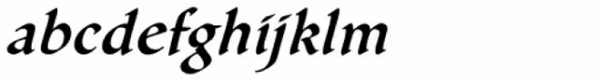Gallegos Pro Medium Italic
