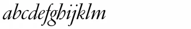 Garamond FB Std Display Italic