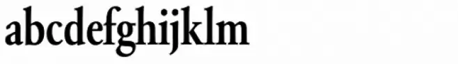Garamond Nr 2 SH Medium Cond