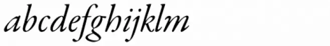 Garamond Premr Pro SubHead Italic