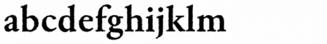 Garamond Rough H EF Bold