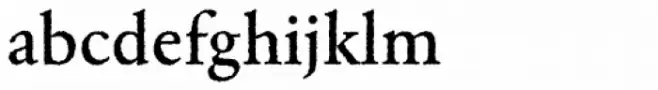 Garamond Rough H EF Medium