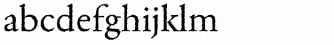 Garamond Rough H EF