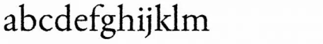 Garamond Rough Pro Regular