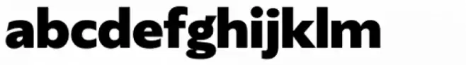 Gardner Sans Bold