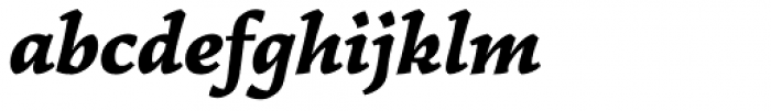 Garibaldi Black Italic