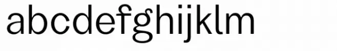 Garino Book