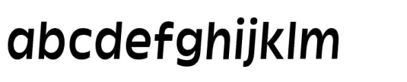 Garnison Medium Italic Mono