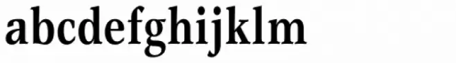 Garth Graphic Pro Bold Condensed