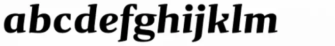 Gazeta Bold Italic