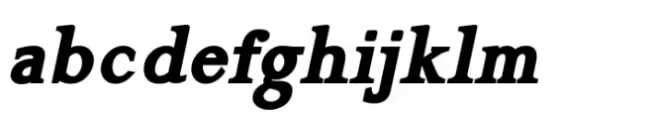 Gazi Pro Black Italic