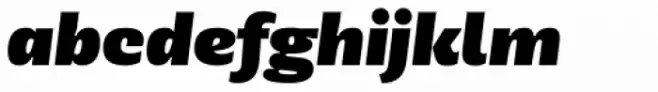 Geller Sans Rg Heavy Italic