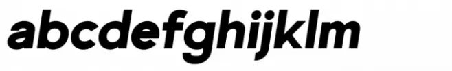 Genova Black Italic