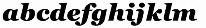 Georgia Pro Black Italic