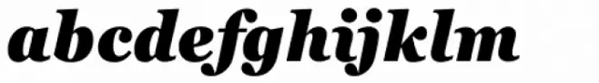 Georgia Pro Condensed Black Italic