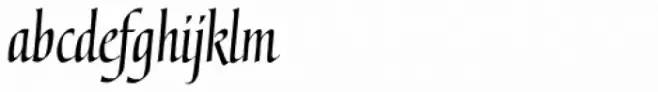 Gertrud Italic