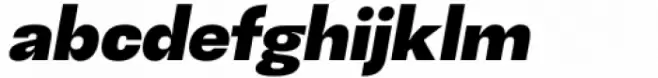 Gevher Black Italic