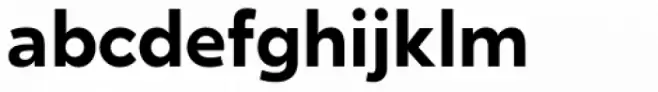 Ghino Bold
