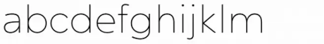 Ghino Thin