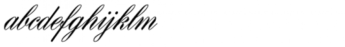 Gillray Pro Light