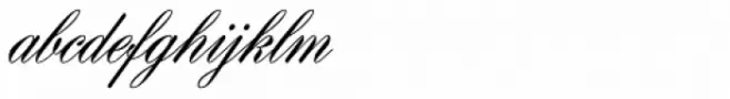 Gillray Pro Light