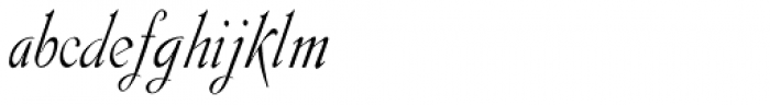 Gladly Oblique Narrow