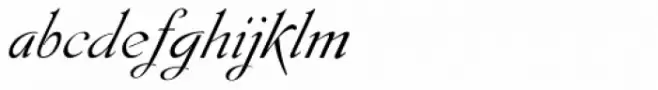 Gladly Ornate Oblique