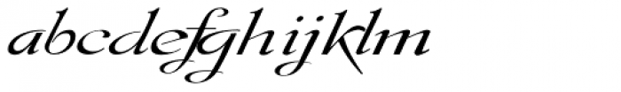 Gladly Ornate Wide Oblique