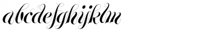 Glenda Regular