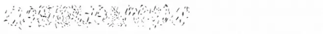 Gluten Texture