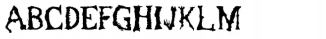 Gnarly Spine Black